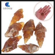 6 Pcs Education Snail Specimen Model Biological Agate Geology for Kids Science Rocks and Minerals Ki