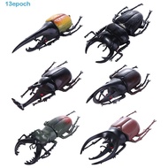 EPOCH Simulation Beetle Teaching Aids Fake Beetle Science Toy Insect Toy Beetle Figures Animal Colle
