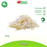 tauge kacang hijau 250 gr