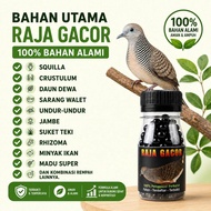 RAJA GACOR JAMU PERKUTUT isi 100 Pil jamu tradisional perkutut cepat gacor dan rajin manggung kutut 