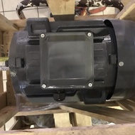 DINAMO TECO 30 22 KW 4 POLE/ ELEKTROMOTOR TECO 30 22 KW 1500 - CharlesStore5
