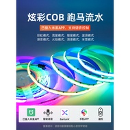 24v Smart APP Voice Control cob Phantom Color 2811 Light Strip RGB Colorful Marquee Running Water Ch