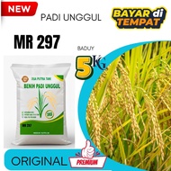 MR 297 RICE SEEDS SUPER PREMIUM QUALITY 5KG PACKAGING