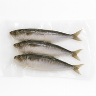 Frozen Iwashi (Sardine) — Iwashi Sardines | Omega-3 Rich Fish | Fresh Frozen Seafood