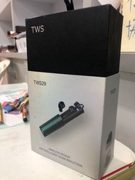 TWS29藍芽耳機 勁新淨
