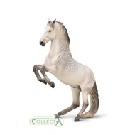 Collecta 80051 Lipizzaner Stallion Apple Mold 14cm Horse World Novelty 2026-