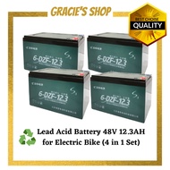 High Quality Electric Bicycle E Bike Electric Scooter Battery 48V12.3AH 4 in 1 set 电动车电瓶车电动脚车电池