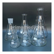 Erlenmeyer Flask IWAKI