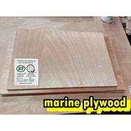 3/4 MARINE PLYWOOD , 18MM MARINE PLYWOOD