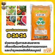 ปุ๋ยเกล็ด 8-24-24 เหลือง สูตรเร่งสะสมอาหาร ออกดอก ปุ๋ยเกล็ดละลายน้ำ ปุ๋ยละลายน้ำ ปุ๋ยระบบน้ำ ปุ๋ยแตง