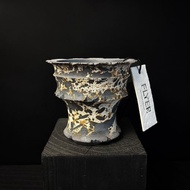 FLYER 塊根多肉植物陶盆器 龍舌蘭象牙宮象足漆樹盆器