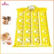 Egg Tray Egg Tray Hatching