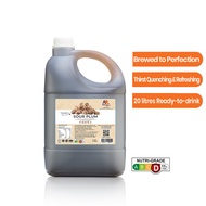 EveryDay Sour Plum Juice Concentrate 浓缩酸梅水 4L