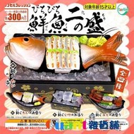∮Quant雜貨鋪∮┌日本扭蛋┐ Tarlin 活跳跳鮮魚P2 全4款 鮮魚 刺身 生魚片 魷魚 龍蝦 小廢物 轉蛋