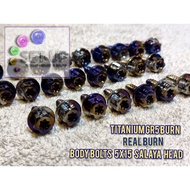 TITANIUM GR5 BODY BOLTS 5*15 SALAYA HEAD