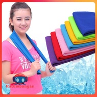 Quick Drying Microfiber Sports Towel Size 80x30cm - T481