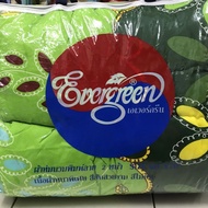 TOTO SINGLE EVERGREEN 2 MUKA