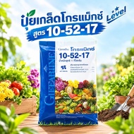 Gromax Granular Fertilizer Formula 10-52-17 High Phosphorus Root Accelerator Flower Giffarine