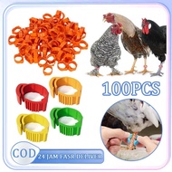 100pcs Chicken Leg Rings Chicken Foot Bracelets Inner Diameter 1.8 ~ 2.6 Cm