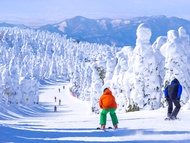คอร์สเรียนสกีส่วนตัวภาษาอังกฤษและภาษาจีนและบริการถ่ายภาพที่ Zao Onsen Ski Resort