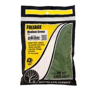 Woodland Scenics Foliage Medium Green Bag F52 - 72 in² (464 cm²), 724771000525 (2966033000524)
