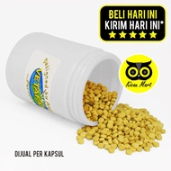 Kicau Mart Obat Burung Livertonic Vetafarm Import Kapsul Butir Pil Vitamin Hati Pendetox Racun Penam