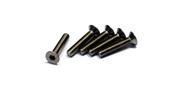田宮模型遙控車零件鈦六角螺絲頭 TAMIYA 53538 RC Model 3x16mm Titanium Hex Head Screw (5pcs)