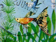 1970年新加坡參加日本萬國博覽會熱帶魚紀念郵票