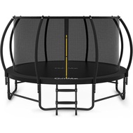 10FT 12FT 14FT 15FT 16FT Trampoline with Enclosure Recreational Trampolines with Ladder - ASTM Appro