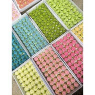 Sister wax roses box of 50
