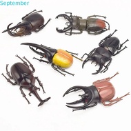 SEPTEMBER Simulation Beetle Science Toy Trick Props Insect Toy Fake Beetle Joke Toys Kids Beetle Toy