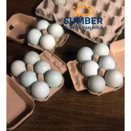10pcs Paper egg tray, 6-hole Paper egg tray, already lockingADA