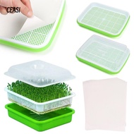 CEASI  Sprouter Tray Outdoor Indoor Nursery Paper Soilless Cultivation Plant Box