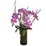 4 in 1 Phalaenopsis Arrangement with Azalea Wood in glass pot