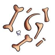 Blox Fruit Bone Farm Service