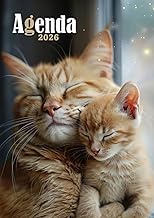 Agenda 2026: Planificateur et Organisateur Journalier A5 un jour sur 1 page | 365 jours | Couverture