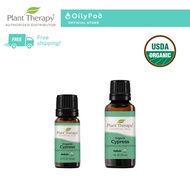 Plant Therapy Cypress Organic Essential Oil