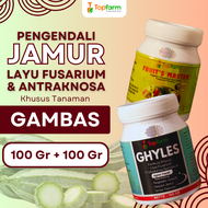 Fungisida Topfarm / Obat Pembasmi Jamur Akar Gambas Oyong / Obat Jamur Upas Gambas  / Obat Jamur Aka