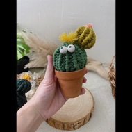 Macrame多肉大眼仔/仙人掌/盆栽