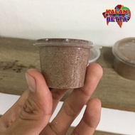 artemia/bbs (kalanbetta)