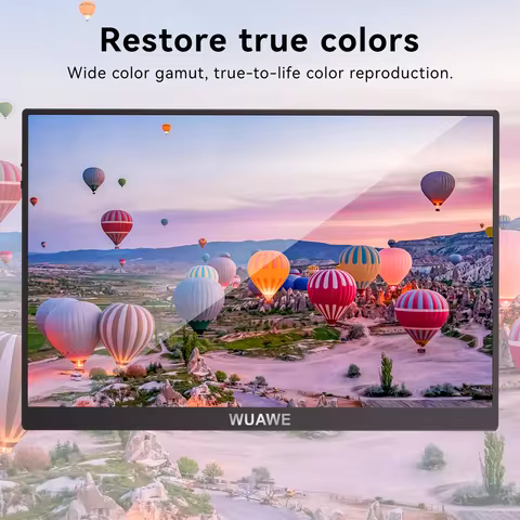 Factory Direct 15.6 inch Portable Monitor, 1080P 72% NTSC USB C HDMI Travel Monitor for Laptop, Exte