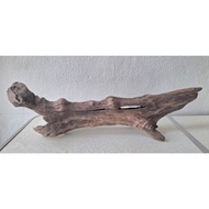 3FT 4FT AQUARIUM DRIFTWOOD BEARDED DRAGON