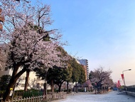 APA 飯店 淺草雷門APA Hotel Asakusa Kaminarimon
