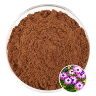 Wholesale 100% Pure Natural Echinacea Extract Powder  Herbal Extract Echinacea Purpurea Extract