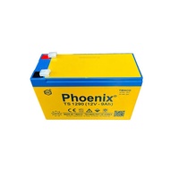 Bình Ắc Quy Khô PHOENIX TS1290 12V - 9AH Dùng Cho UPS Loa Kéo Bình Phun Thuốc Sâu Cửa Cuốn