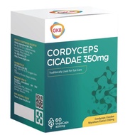 GKB Cordyceps Cicadae 350mg 虫草 金蝉花 Vegecap 60'S