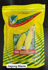100 gram (repack) / 500gmBiji Benih F1 Hibrid Jagung Manis Asia Best F1 Hybrid Asia Best Super Sweet