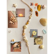 Clamshell bracelet/Summer beach bracelet/ Group bracelet/ Starfish bracelet