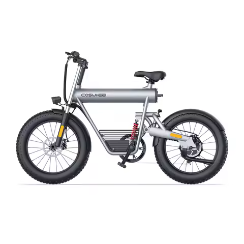 Coswheel T20 adult E-bike 500W 48V20Ah battery commute Electric Bike,20-inch Fat Tire E-Mountain bik