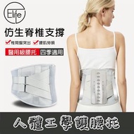 Elife 可調較護腰帶/緩解脊柱側彎&椎間盤突出疼痛 (灰色, 中碼, 1件)